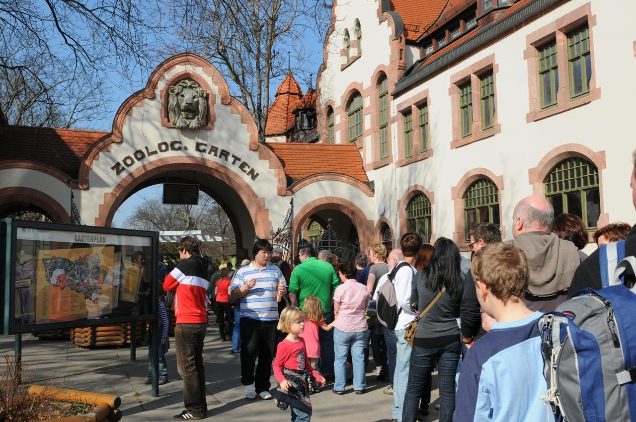 Pension Altstadt Borna Extérieur photo